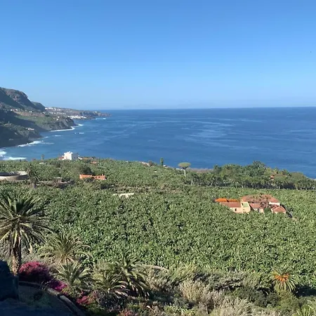 Апартаменты Renovado 