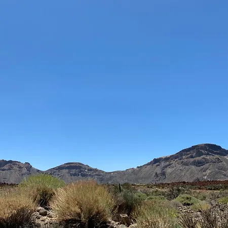 Апартаменты Renovado 