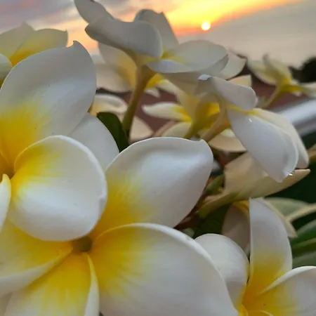 Апартаменты Renovado 