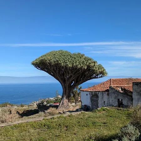 Апартаменты Renovado 